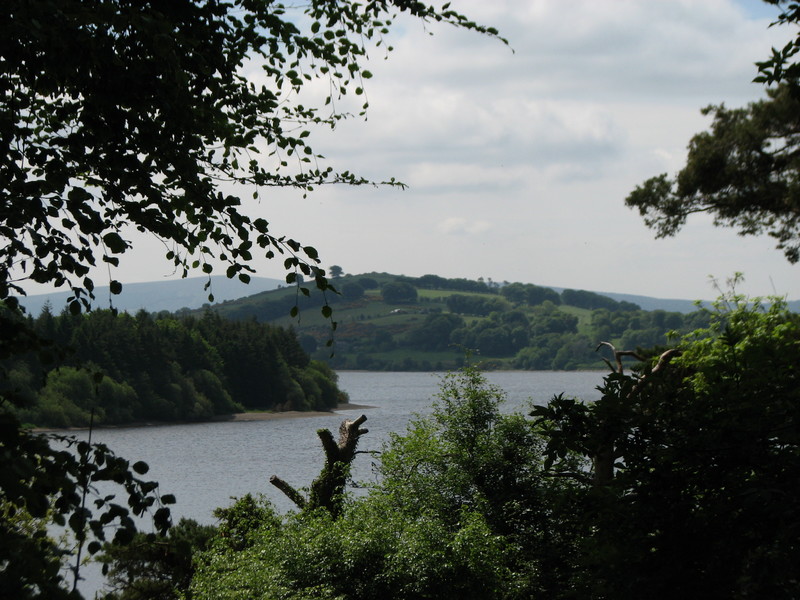 Blessington Lake<br />
