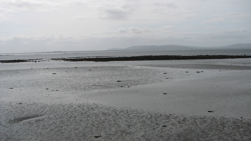 Galway; the bay at low tide<br />
