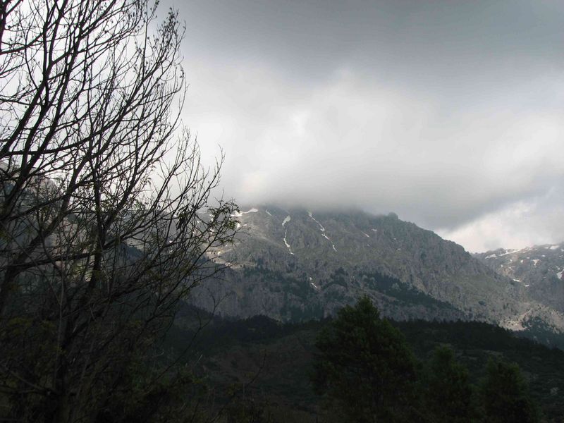 Mount Parnassos