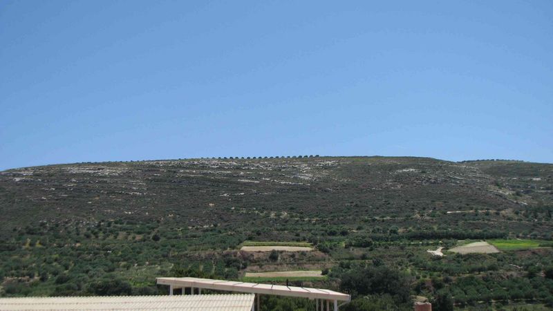 The view from Knossos